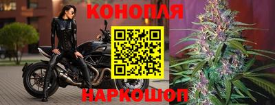 молекула духа Северобайкальск