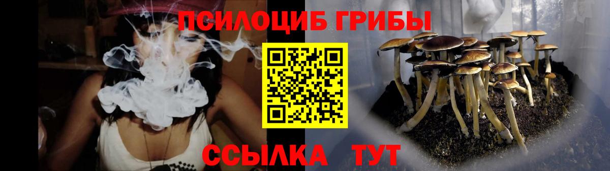 Острогожск  Псилоцибиновые грибы Psilocybe  наркошоп  Вход с VPN  Галлюциногенные грибы мицелий 